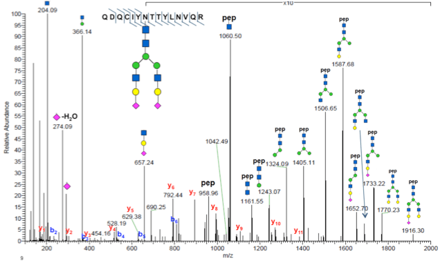 使用 PTMScan 糖基化分析所识别的一种糖肽的 MS/MS 谱图。